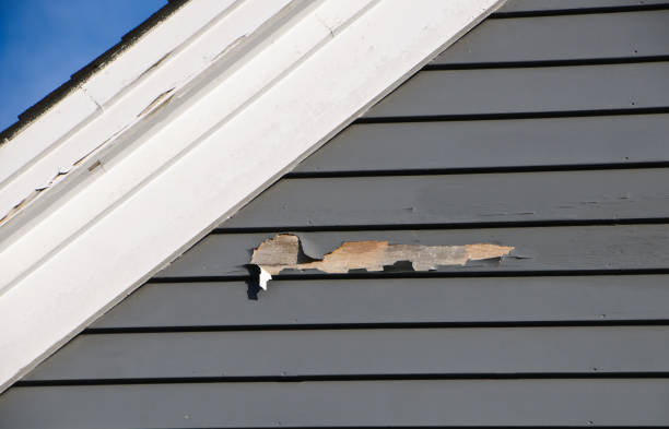 Shed Removal in Elwood, IN
